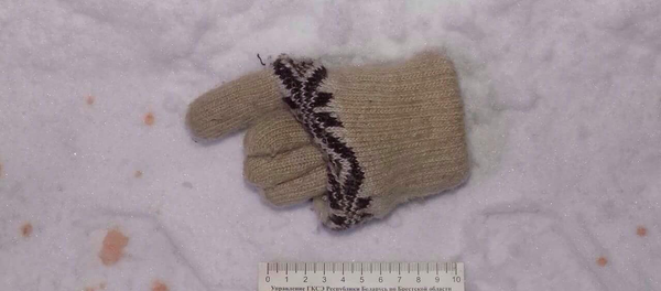 Варежка на месте нападения на супругов в Кобрине - Sputnik Беларусь