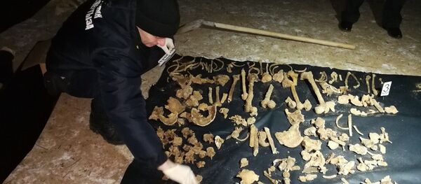 Найденные останки - Sputnik Беларусь
