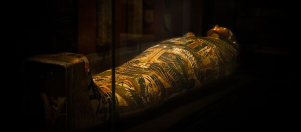 Егіпецкі саркафаг - Sputnik Беларусь