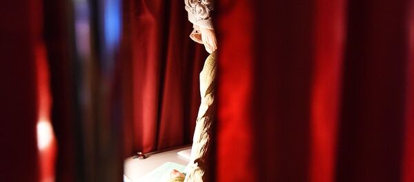 Во время выборов в местные Советы депутатов Беларуси - Sputnik Беларусь