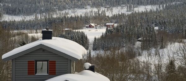 Дачный поселок - Sputnik Беларусь
