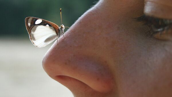 Бабочка на носу - Sputnik Беларусь