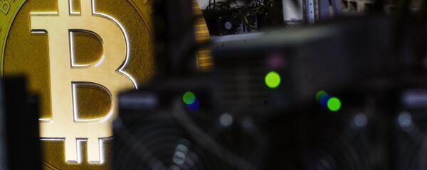Стеллажи с фермами для майнинга криптовалют - Sputnik Беларусь