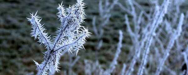 Якое надвор'е чакае беларусаў у бліжэйшыя выхадныя - Sputnik Беларусь