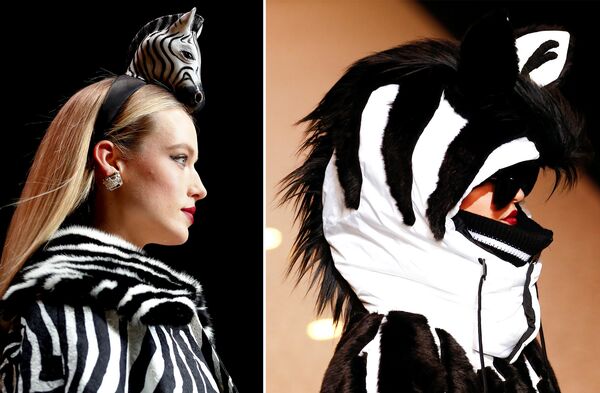 Шубка под зебру, обруч под зебру и даже костюм зебры - Sputnik Беларусь