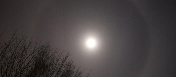 Гало Гало - Sputnik Беларусь