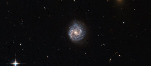 Сверхновая звезда - Sputnik Беларусь