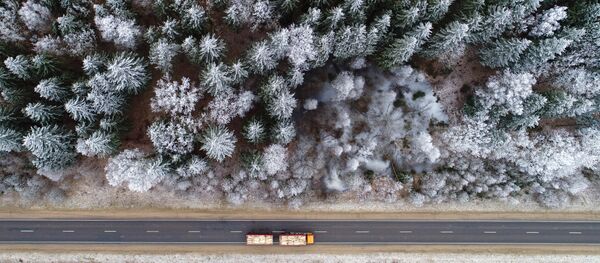 Зима - Sputnik Беларусь