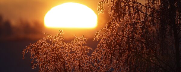 Зима - Sputnik Беларусь