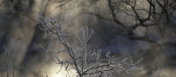 Зима, архивное фото - Sputnik Беларусь