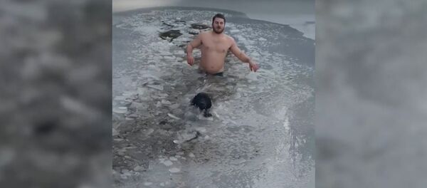 Канадец спас провалившуюся под лед собаку - Sputnik Беларусь