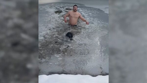Канадец спас провалившуюся под лед собаку - Sputnik Беларусь