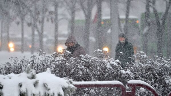 Прохожие во время снегопада - Sputnik Беларусь
