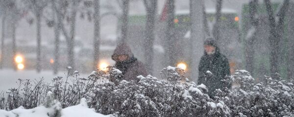 Прохожие во время снегопада Прохожие во время снегопада - Sputnik Беларусь