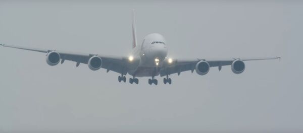 Споттеры запечатлели, как сильный ветер раскачивал садившийся Airbus - Sputnik Беларусь