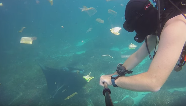 Дайвер заснял прибрежные воды острова Бали - Sputnik Беларусь