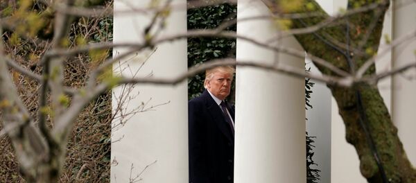Президент США Дональд Трамп - Sputnik Беларусь