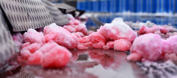 Крыша катка в Гомеле рухнула под тяжестью снега, есть пострадавшие - Sputnik Беларусь