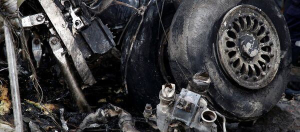 Остатки шасси разбившегося самолета - Sputnik Беларусь