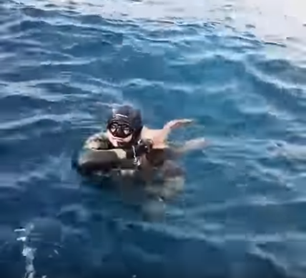 Осьминог прилепился к дайверу Осьминог прилепился к дайверу - Sputnik Беларусь