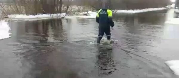 Паводок в Петриковском районе - Sputnik Беларусь