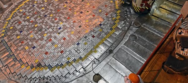 На Игналинской АЭС На Игналинской АЭС - Sputnik Беларусь