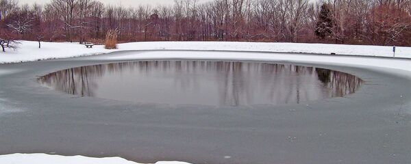 Полынья, архивное фото Полынья, архивное фото - Sputnik Беларусь