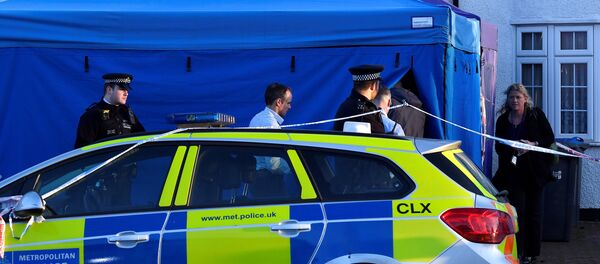 Полиция Лондона - Sputnik Беларусь