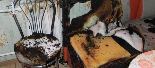 Последствия поджога в Лидском районе Последствия поджога в Лидском районе - Sputnik Беларусь