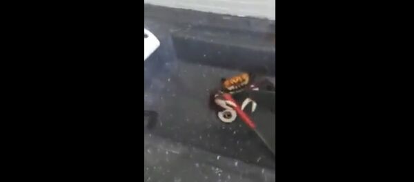 Видеофакт: как краб пытался отбиться ножом от бразильца - Sputnik Беларусь