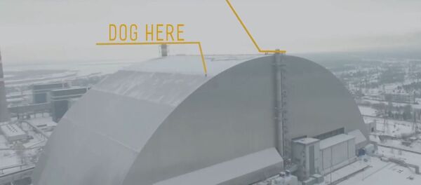 Спасательная операция на ЧАЭС - Sputnik Беларусь