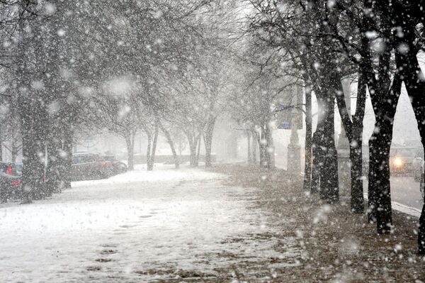 Снегопад в Минске - Sputnik Беларусь