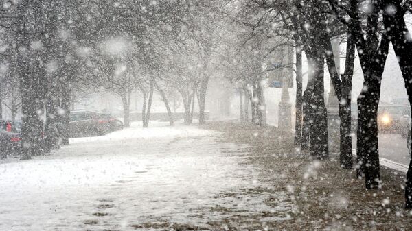 Снегопад, архивное фото - Sputnik Беларусь