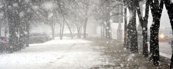 Снегопад в Минске - Sputnik Беларусь