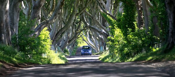 Лес Дарк Хеджес в Северной Ирландии Лес Дарк Хеджес в Северной Ирландии - Sputnik Беларусь