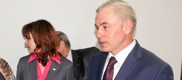 Директор департамента по авиации министерства транспорта и коммуникаций Владимир Костин - Sputnik Беларусь