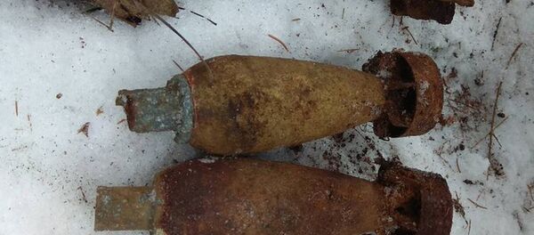 Найденные боеприпасы - Sputnik Беларусь