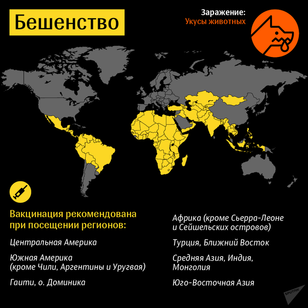 Прививки для путешественников: бешенство - Sputnik Беларусь