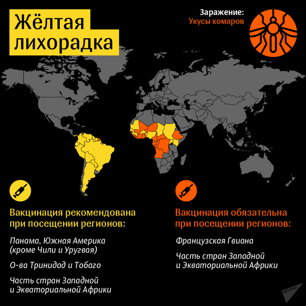 Прививки для путешественников: желтая лихорадка - Sputnik Беларусь