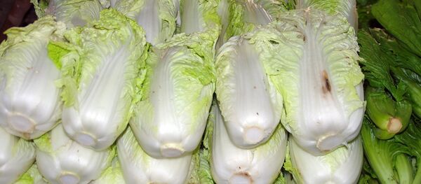 Пекинская капуста - Sputnik Беларусь