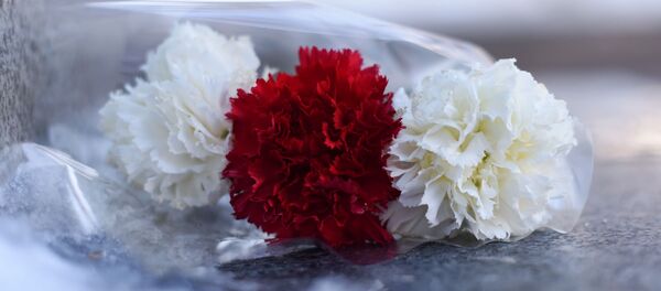 Гваздзікі каля помніка, архіўнае фота Гваздзікі каля помніка, архіўнае фота - Sputnik Беларусь