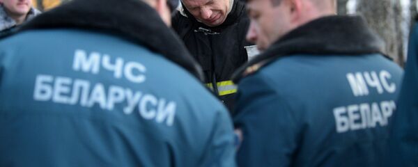 МЧС Беларуси - Sputnik Беларусь
