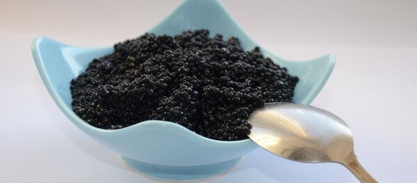 Черная икра - Sputnik Беларусь