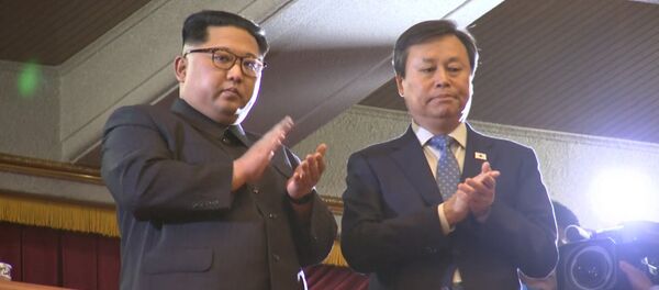 Южнокорейская группа выступила в Пхеньяне Южнокорейская группа выступила в Пхеньяне - Sputnik Беларусь