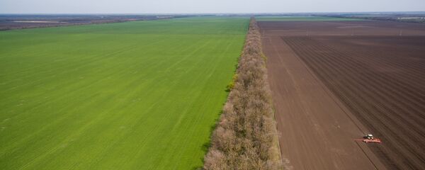 Вясновая пасяўная Вясновая пасяўная - Sputnik Беларусь