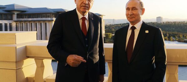 Визит президента РФ В. Путина в Турцию - Sputnik Беларусь