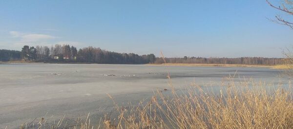 Река Ушача в Полоцком районе - Sputnik Беларусь