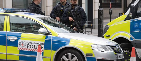 Полицейский кордон в Лондоне, архивное фото Полицейский кордон в Лондоне, архивное фото - Sputnik Беларусь