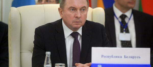 Министр иностранных дел Беларуси Владимир Макей Министр иностранных дел Беларуси Владимир Макей - Sputnik Беларусь