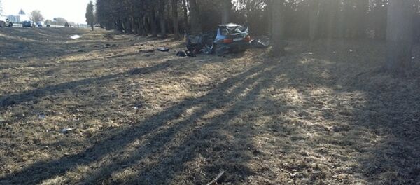 Volkswagen врезался в дерево под Фаниполем - Sputnik Беларусь